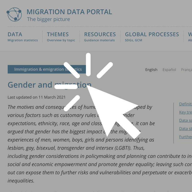 Migration Data Portal